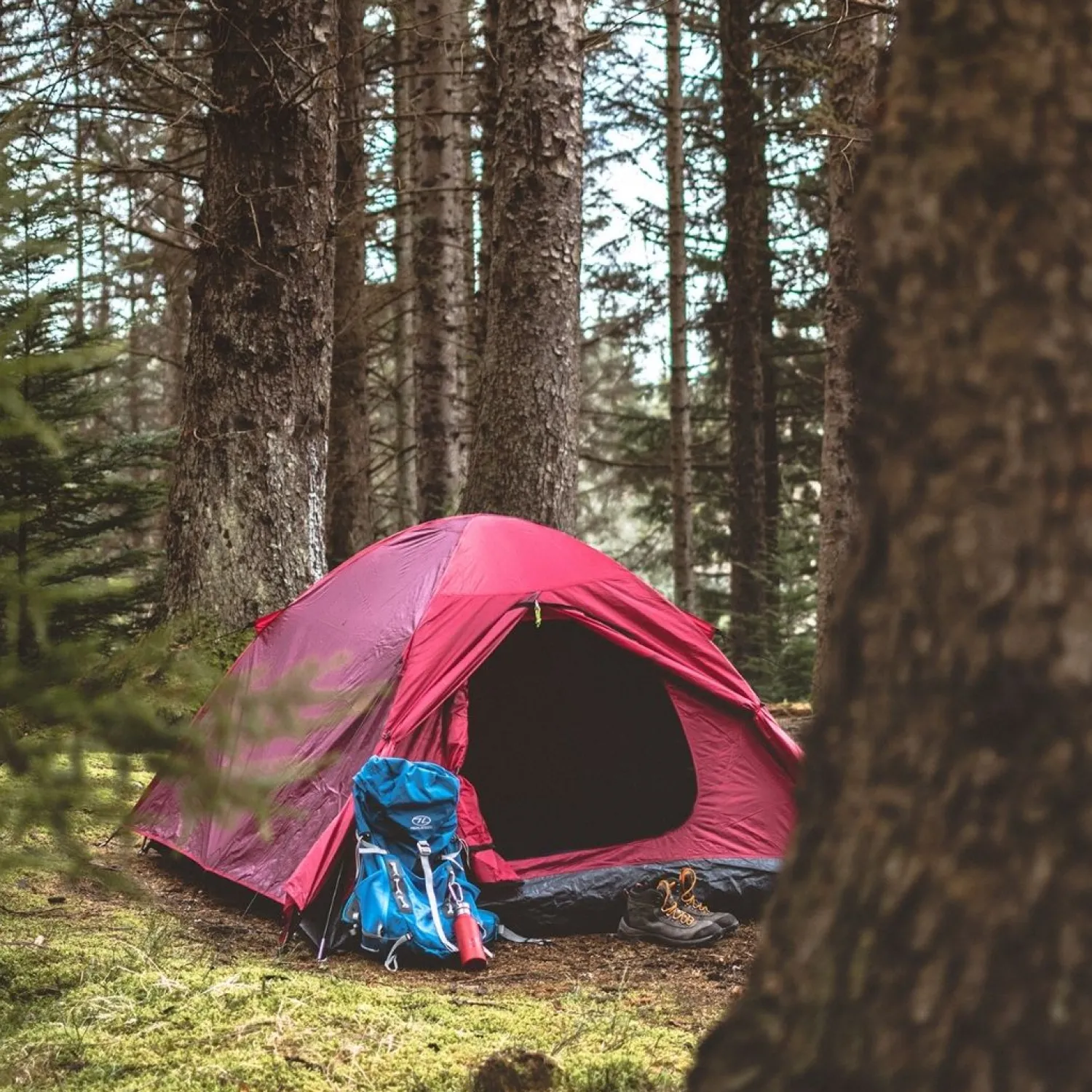 Shop Highlander Birch - 2 Personers Dome Telt