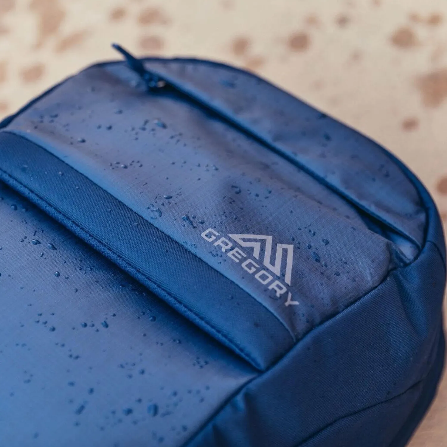 Discount Gregory Daypack - Resin - 22 Liter