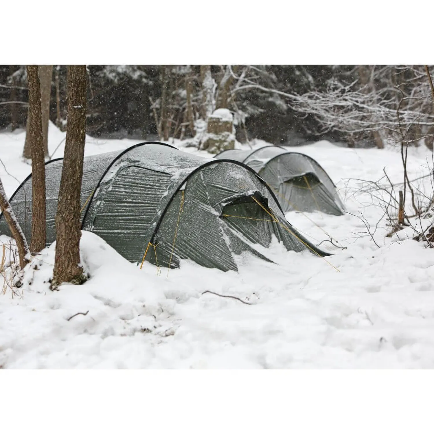 Best Sale Nordisk Telt - Oppland 3 Si - 3 Personer - Gron
